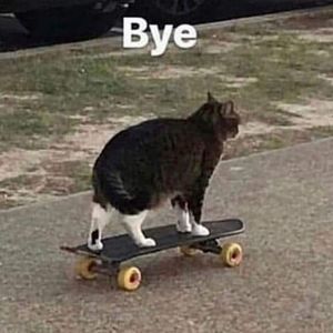 Meet your Posher, Theaira